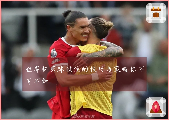 世界杯买球投注的技巧与策略你不可不知