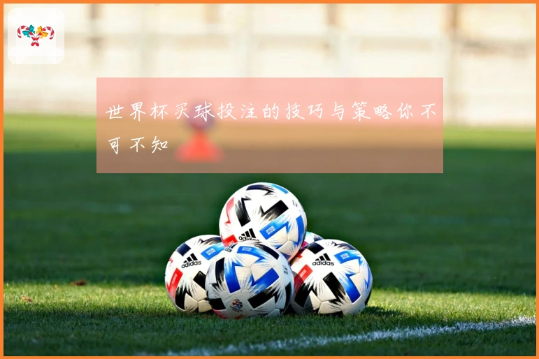 世界杯买球投注的技巧与策略你不可不知