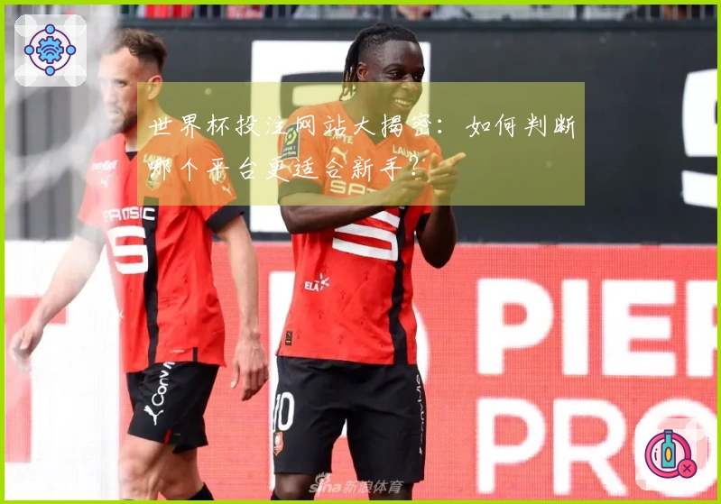 世界杯投注网站大揭密：如何判断哪个平台更适合新手？