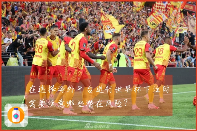 在选择海外平台进行世界杯下注时需要注意哪些潜在风险？